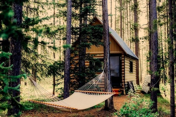 Séjournez dans une cabane perchée en dordogne : au cœur de la nature !
